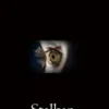 Stalken (Hoe Riley Paige begon—Boek 5)