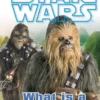 Star Wars What is a Wookiee?