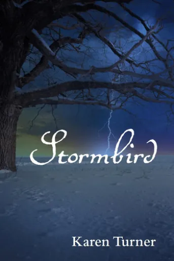 Stormbird