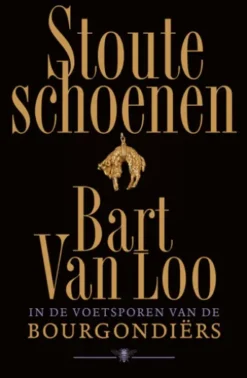 Stoute schoenen