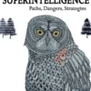 Superintelligence