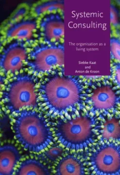 Systemic consulting