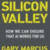 Taming Silicon Valley