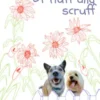 the adventures of fluff and scruff