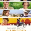 The Best Exotic Marigold Hotel