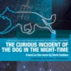 The Curious Incident of the Dog in the Night-Time
