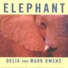 The Eye of the Elephant