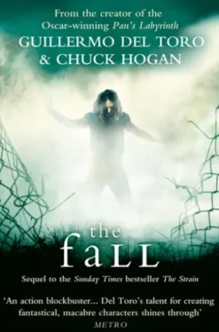 The Fall