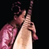 The Garland Encyclopedia of World Music