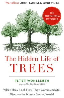 The Hidden Life of Trees
