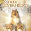The Lost Collies of Silverhedge