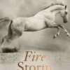 The One Dollar Horse: Fire Storm