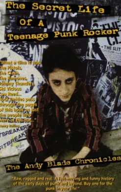 The Secret Life Of A Teenage Punk Rocker