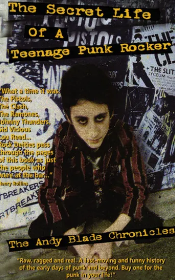 The Secret Life Of A Teenage Punk Rocker