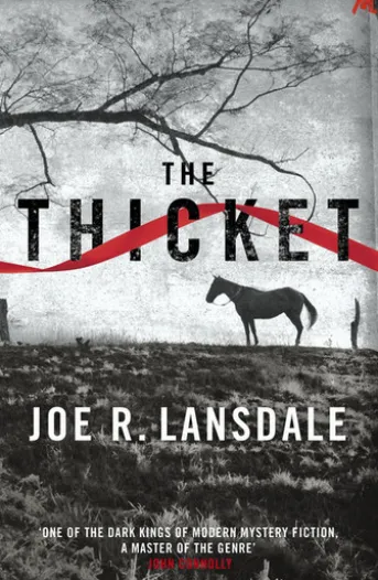 The Thicket