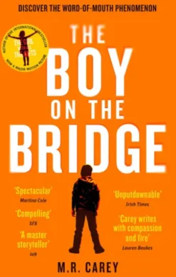 The Boy on the Bridge