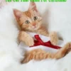 The Cat that Came for Christmas
