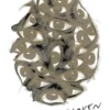 The Cloven