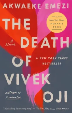 The Death of Vivek Oji
