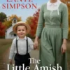 The Little Amish Matchmaker