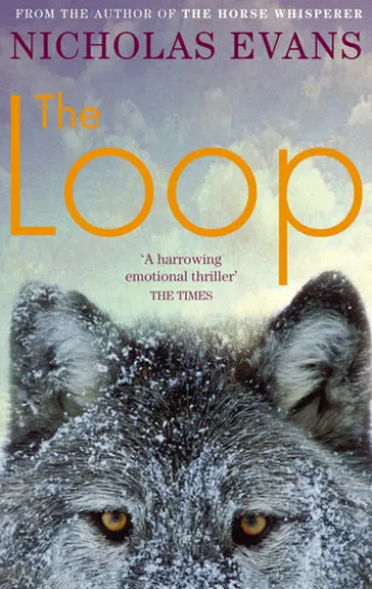 The Loop