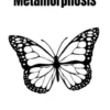 The Metamorphosis