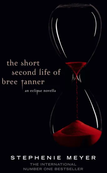 The Short Second Life Of Bree Tanner