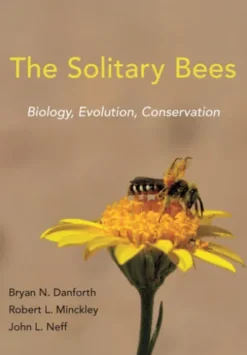 The Solitary Bees