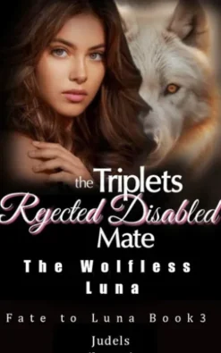The Triplets' Rejected Disabled Mate