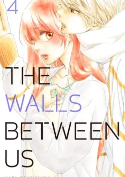 The Walls Between Us 4