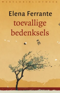 Toevallige bedenksels