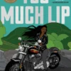 Too Much Lip