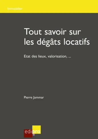 Tout savoir sur les dégâts locatifs