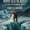 Un Cœur sous les Glaces (ça ne se mange pas)