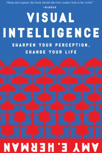 Visual Intelligence