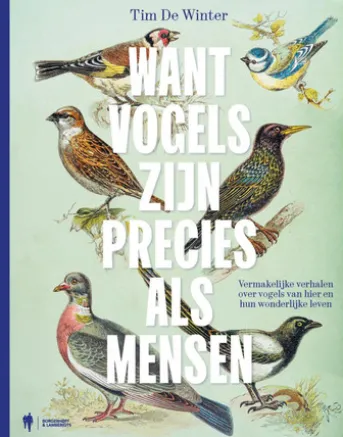 Want vogels zijn precies als mensen