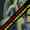 WARHOL told by WORONOV – Swimming Underground