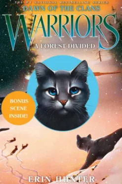 Warriors: Dawn of the Clans #5: A Forest Divided
