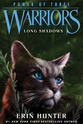 Warriors: Power of Three #5: Long Shadows