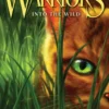 Warriors #1: Into the Wild