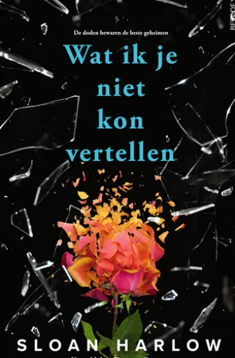 Wat ik je niet kon vertellen