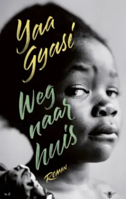 Weg naar huis