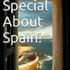 What's So Special About Spain?