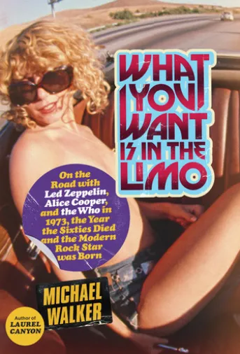 What You Want Is in the Limo