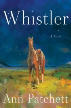 Whistler