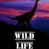 Wild Life