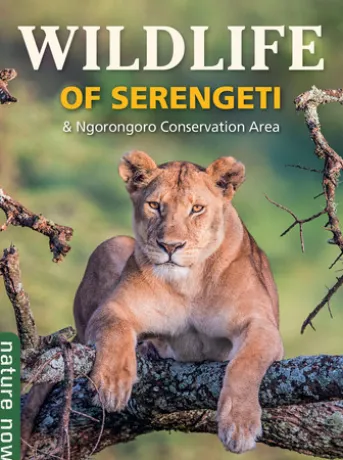 Wildlife of Serengeti & Ngorongoro Conservation Area