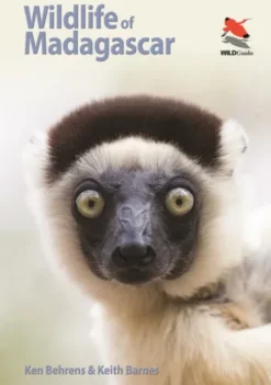Wildlife of Madagascar