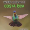 Wildlife of the World - Costa Rica