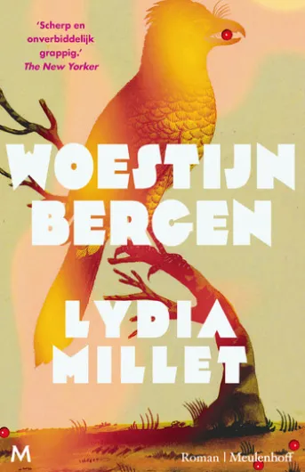 Woestijnbergen